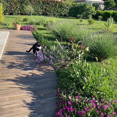 帕拉亚La Rosela De La Cite住宿加早餐旅馆 外观 照片