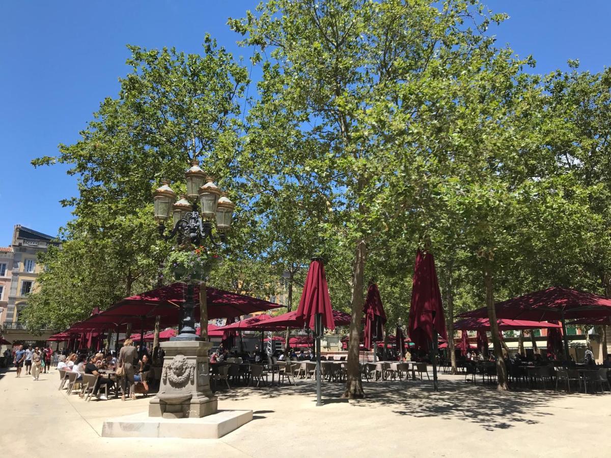 帕拉亚La Rosela De La Cite住宿加早餐旅馆 外观 照片
